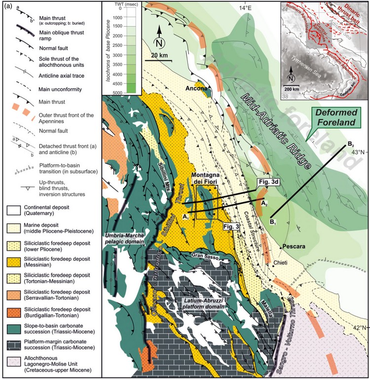 Open access | Dinaric up-thrusts in the Pliocene evolution of the Central Apennines thrust belt of Italy: the Montagna dei Fiori structure